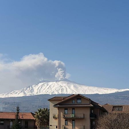 Appartamento Agrumi ลิงกัวกลอสซา ภายนอก รูปภาพ
